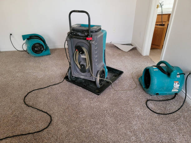 Best Water damage cleanup near me  in Harlem, FL