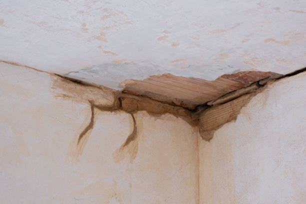 Best Flood restoration services  in Harlem, FL