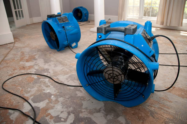 Best Emergency water damage restoration  in Harlem, FL