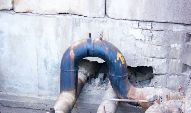 Best Water damage repair service  in Harlem, FL