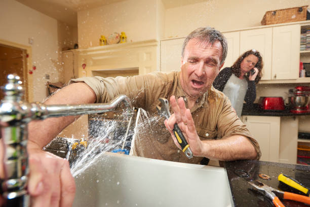 Best Professional water damage repair  in Harlem, FL